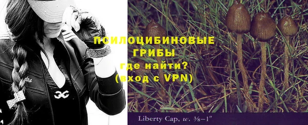 марки nbome Инсар