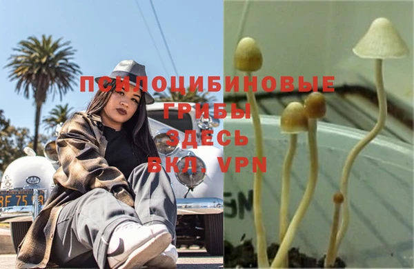 дурь Зерноград